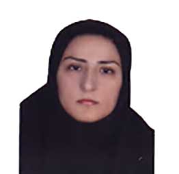 مریم بگ جانی - موسسه ایران اروپا